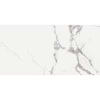 NEW ICE WHITE REC.