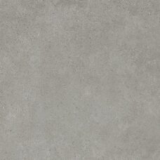 EVO GREY LAP.