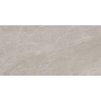 DPS12RT DPS IRON 60X120 RETT (1 сорт)