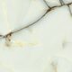 GMXJ102P FANCY ONYX POL ### (1 сорт)