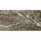 GPH12639 ZIRCON (1 сорт)