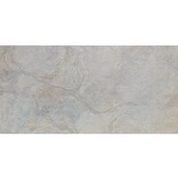 IMAGE SILVER 59,6X120(A) (1 сорт)