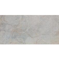 IMAGE SILVER 59,6X120(A) (1 сорт)
