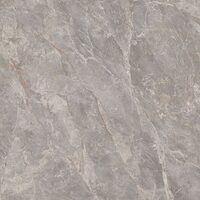 MAIHER GREY P. (1 сорт)