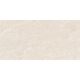 DPS82RT DPS LUNAR 60X120 RETT (1 сорт)