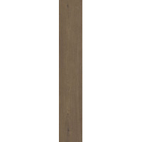 Плитка 20*120 Elisir Touch Whisky Matt Rect J739