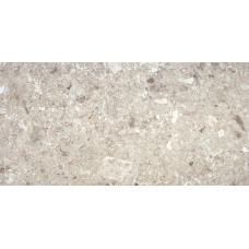Плитка 60*120 Stone Nut Rec