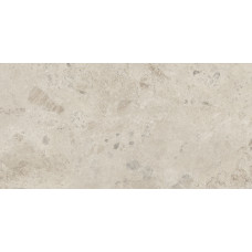 Плитка 60*120 Stratos Breccia Mud Matt