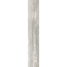 Bone