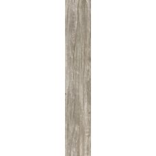Dovegrey