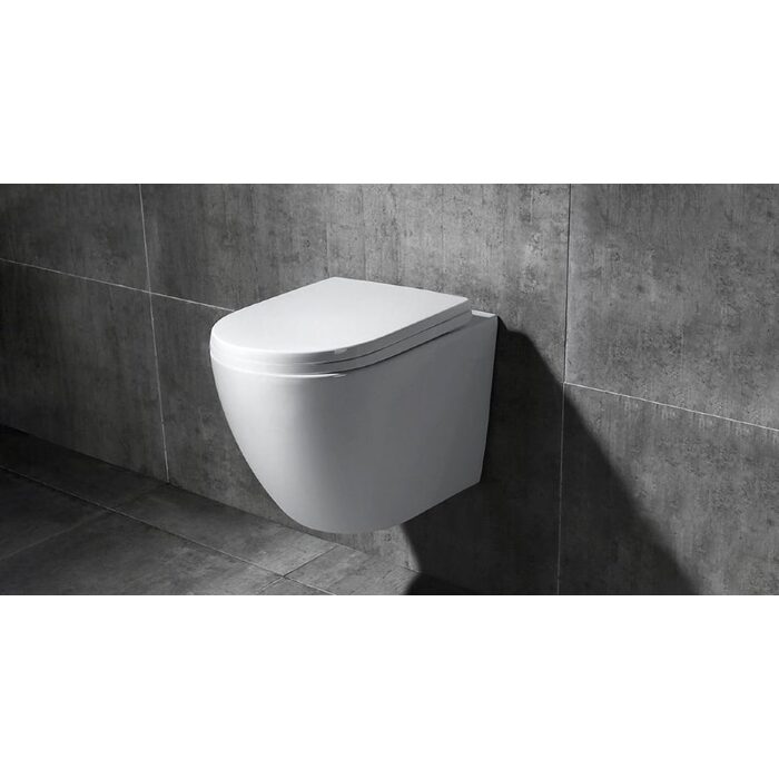 унітаз Carlo Mini Rimless 48x37 white + сидіння дюропластів soft-close (REA-C6200)
