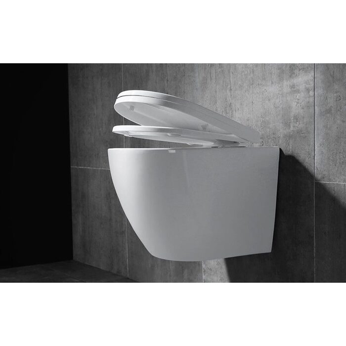 унітаз Carlo Mini Rimless 48x37 white + сидіння дюропластів soft-close (REA-C6200)
