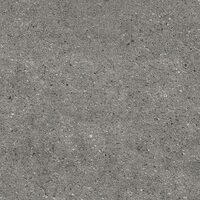 Silver Grey 120х120 Natural plus