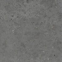 Whole Stone Grey 60х60 Natural plus