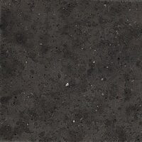 Whole Stone Black 120х120 Natural plus