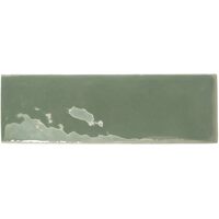 Rebels Moss Glossy