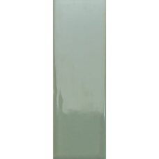 Bits Kale Gloss
