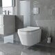 3020120 UP Підвісний безобідковий унітаз+кришка quick-fix, soft-close (1 сорт)