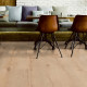 Вінилове покриття Oak Lubeck Comfort 2416 (1 сорт)