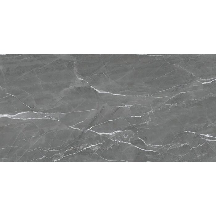 BAGIRA GRIS (1 сорт)