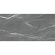 BAGIRA GRIS (1 сорт)