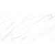 PY71546 CAPRIS (1 сорт)