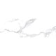 CARRARA BIANCO (1 сорт)