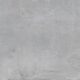 EPOCH SILVER (1 сорт)