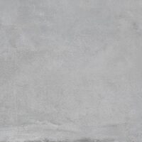 EPOCH SILVER (1 сорт)