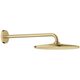 26558GN0 Rainshower Mono 310 Верхній душ з душовим кронштейном, Brushed Cool Sunrise (1 сорт)