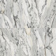 PS3D751501 LILAC PICASSO (1 сорт)
