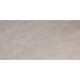 DPS12RT DPS IRON 60X120 RETT (1 сорт)