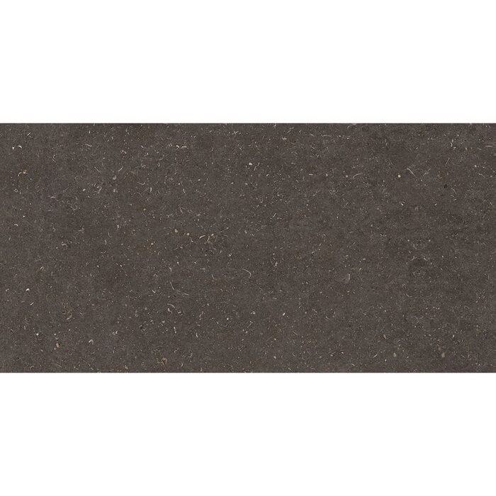 60X120(T)C G.VINCEN ANTHRACITE (1 сорт)