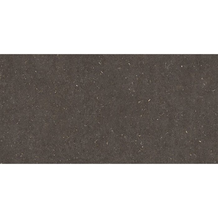60X120(T)C G.VINCEN ANTHRACITE (1 сорт)