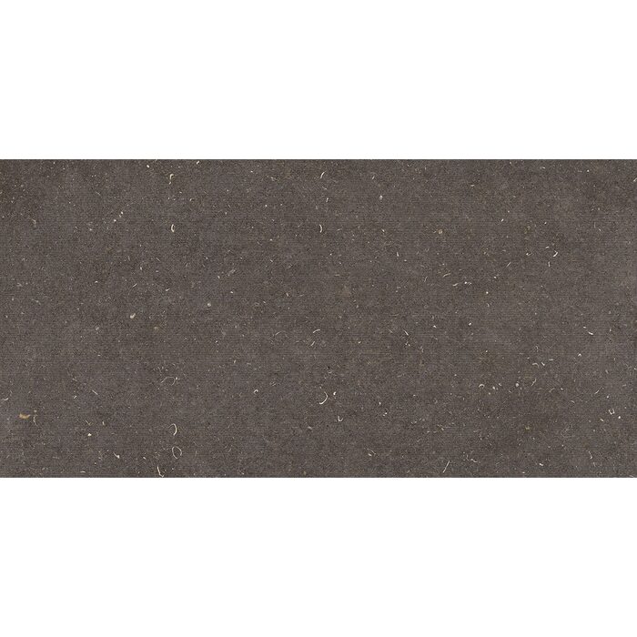 60X120(T)C G.DEC.VINCEN ANTHRACITE (1 сорт)