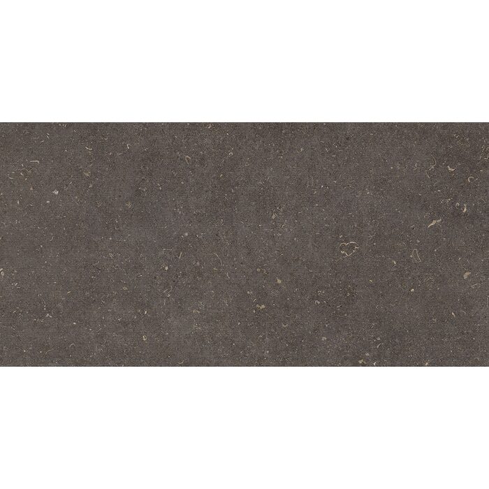 60X120(T)C G.DEC.VINCEN ANTHRACITE (1 сорт)