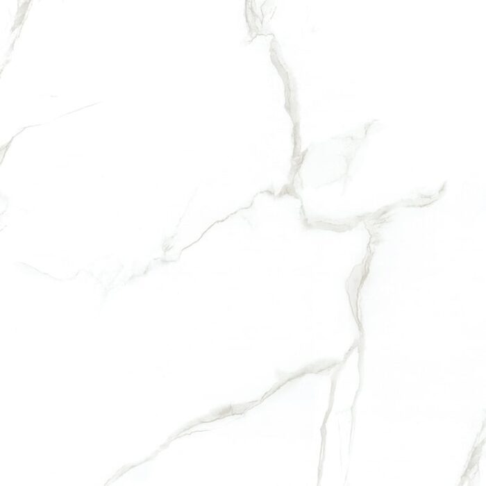 CE6Y025PA AMARETTO (1 сорт)