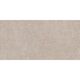 CORE TAUPE 60X120 (1 сорт)