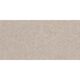 CORE TAUPE 60X120 (1 сорт)