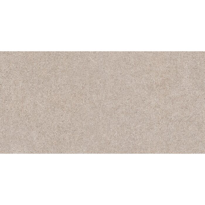 CORE TAUPE 60X120 (1 сорт)