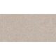 CORE TAUPE 60X120 (1 сорт)