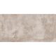 CORE PRO TAUPE 60X120 (1 сорт)