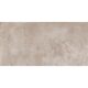 CORE PRO TAUPE 60X120 (1 сорт)