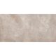 CORE PRO TAUPE 60X120 (1 сорт)