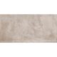 CORE PRO TAUPE 60X120 (1 сорт)