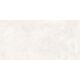 CORE PRO WHITE 60X120 (1 сорт)