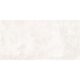CORE PRO WHITE 60X120 (1 сорт)