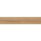 TESTA WOOD BEIGE DG MATT (1 сорт)
