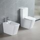 DFL2170211W Flow square Унітаз-компакт 610x365x825мм з кришкою soft-close, Vortex Flush, білий глянець (1 сорт)