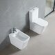 DFL2170211W Flow square Унітаз-компакт 610x365x825мм з кришкою soft-close, Vortex Flush, білий глянець (1 сорт)